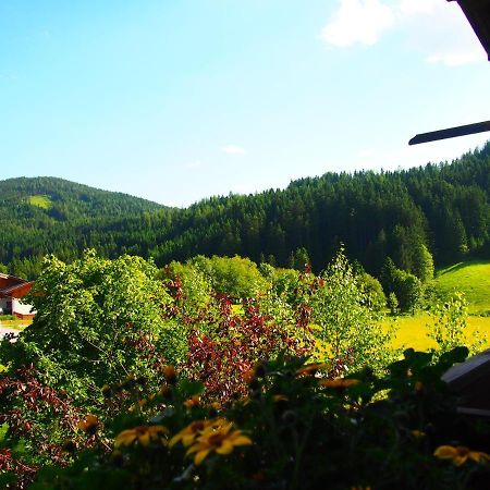Appartment Kainhofer Sankt Martin am Tennengebirge Zewnętrze zdjęcie