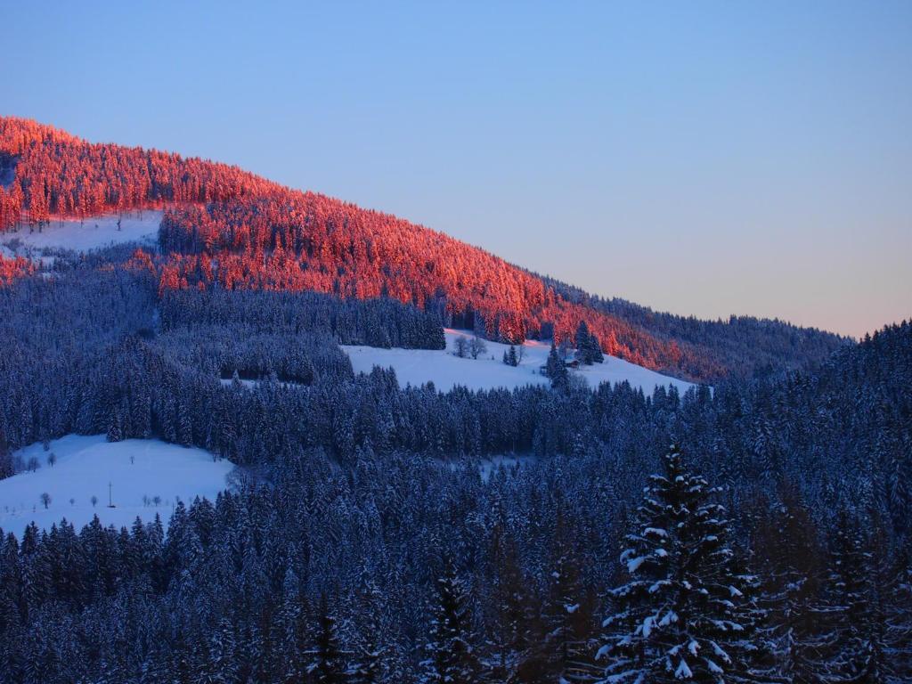 Appartment Kainhofer Sankt Martin am Tennengebirge Zewnętrze zdjęcie