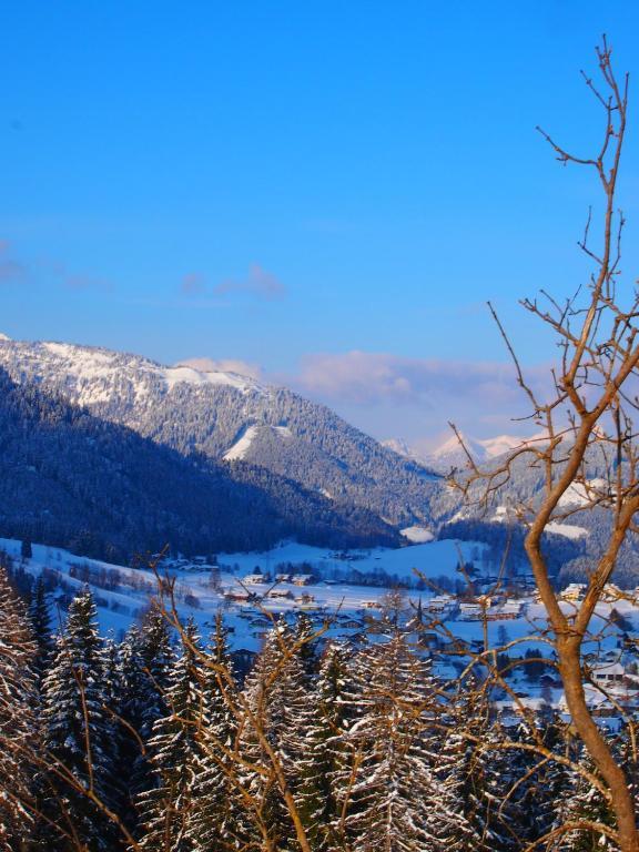 Appartment Kainhofer Sankt Martin am Tennengebirge Zewnętrze zdjęcie